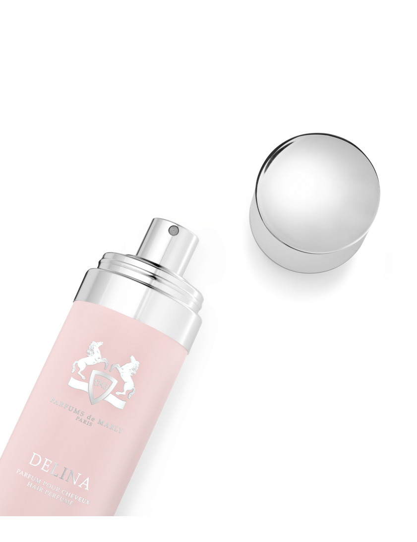 DELINA-HAIRMIST-PACK2_1X1_d4a262c9-97f4-46b1-8ce0-f802c73f6b09.png
