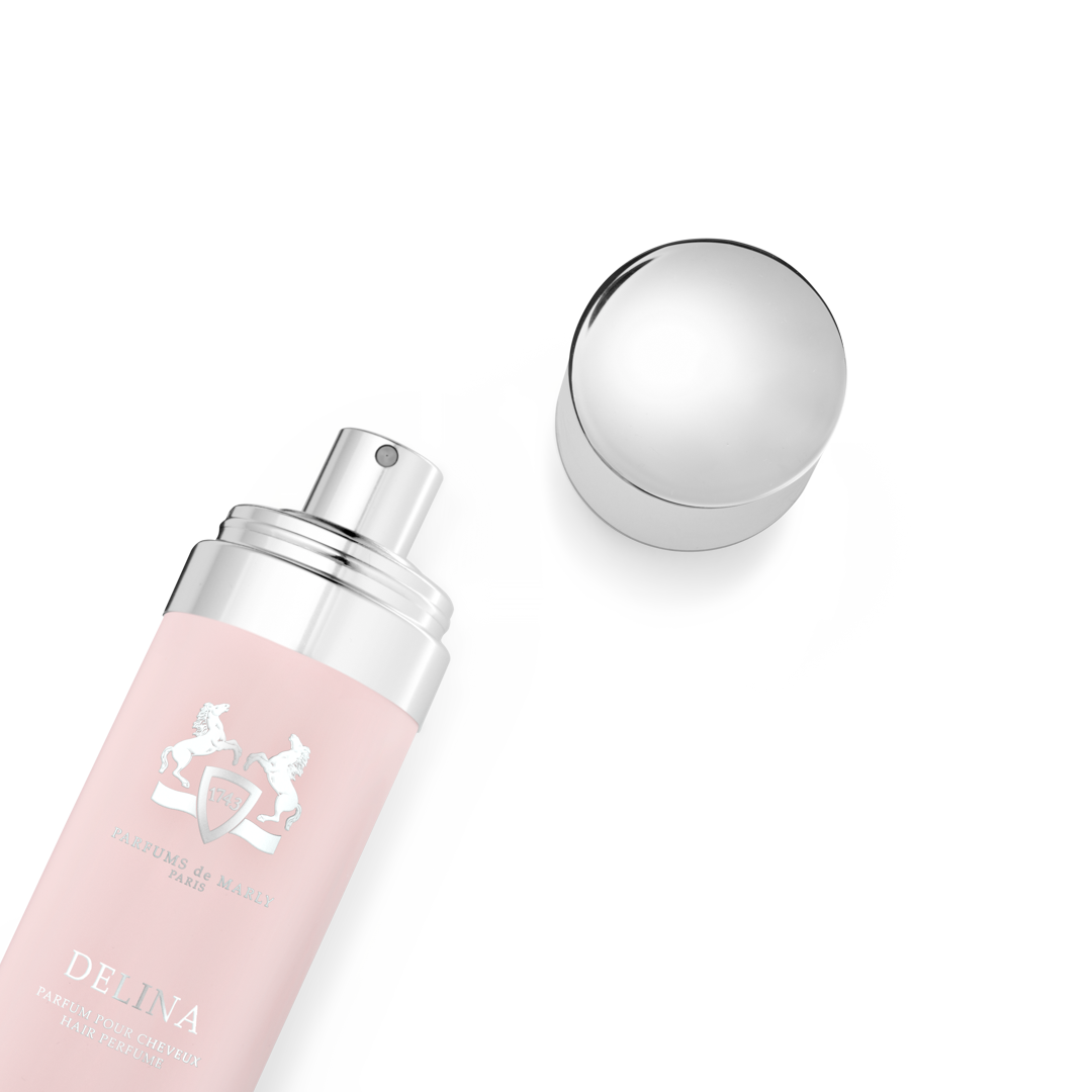DELINA-HAIRMIST-PACK2_1X1_d4a262c9-97f4-46b1-8ce0-f802c73f6b09.png