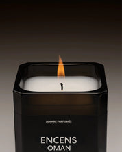 Matiere premiere encens oman 220g cnd