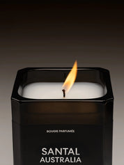 Matiere premiere santal australia 220g cnd