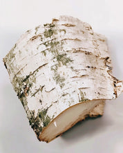 MP24 Falcon Leather Extrait 100ML