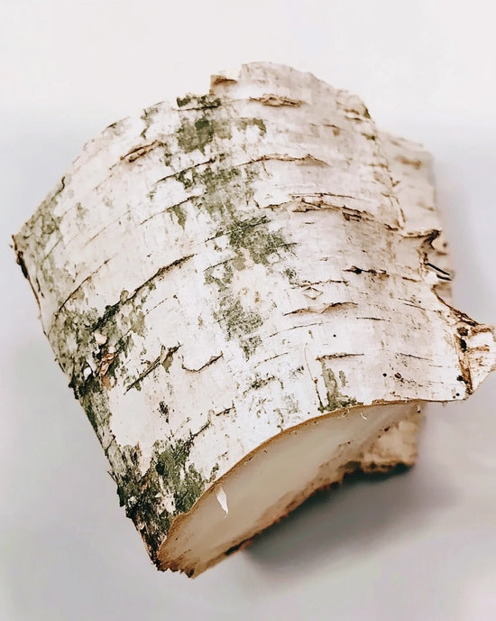 MP24 Falcon Leather Extrait 100ML