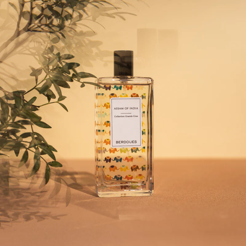 ASSAM OF INDIA Eau de Parfum – 100 ML