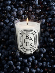 Dtq candle baies 190g