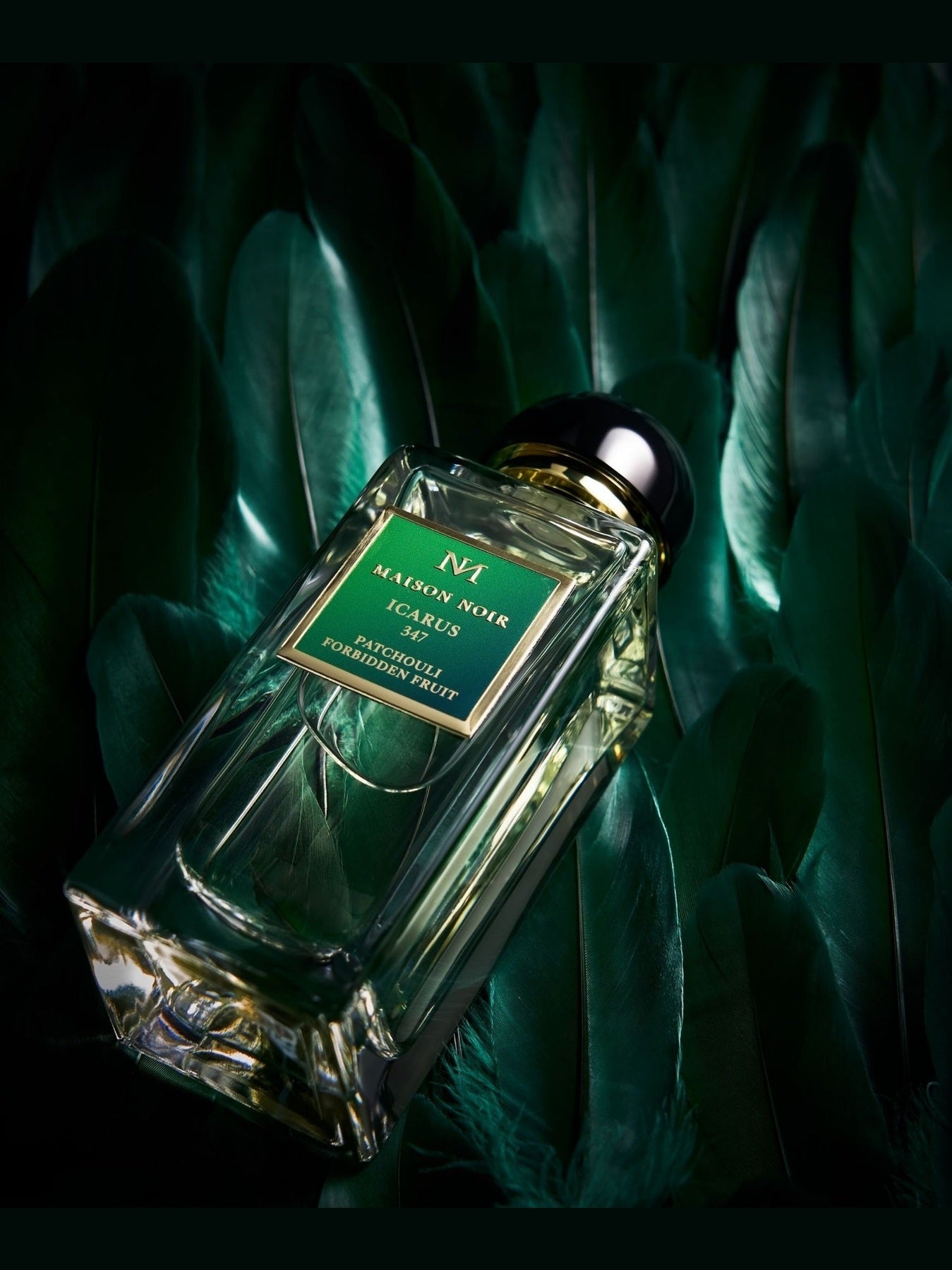 Maison noir icarus 347 EDP 100ml
