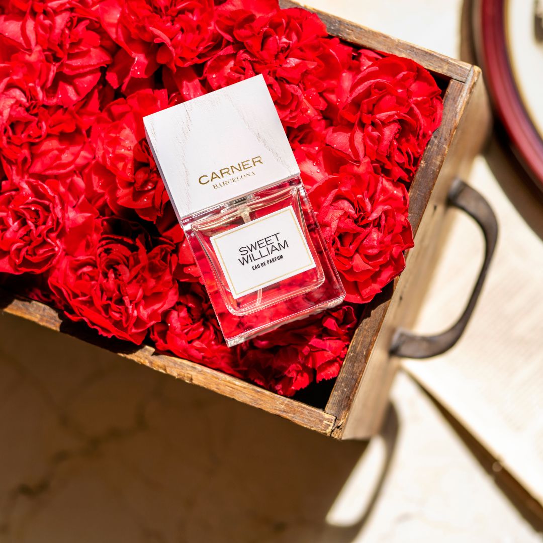 Sweet William EDP 100ML