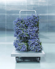 Matiere premiere26 metal lavender 100ml