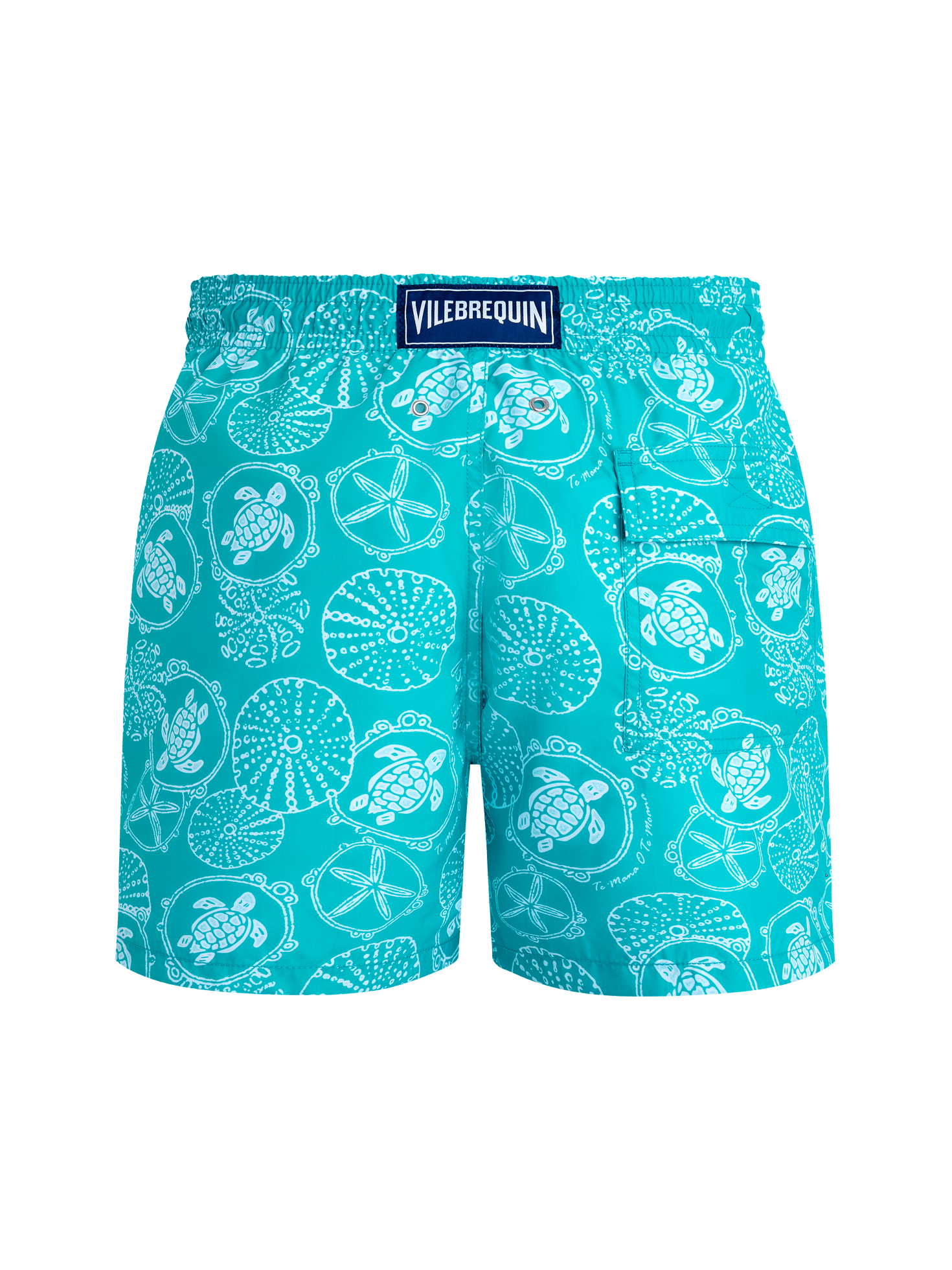 Men swim shorts oursins bicolores