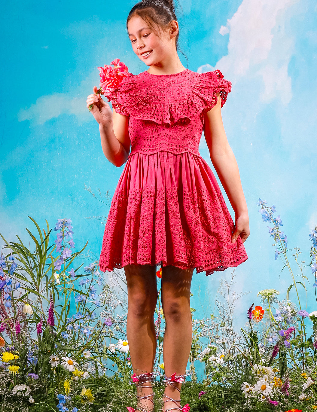 NaomiEmbroideredMiniDress.jpg