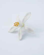 Matiere Premiere Neroli Oranger Eau De Parfum 100ML