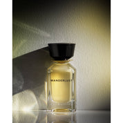 Oman Luxury - WANDERLUST 100ML