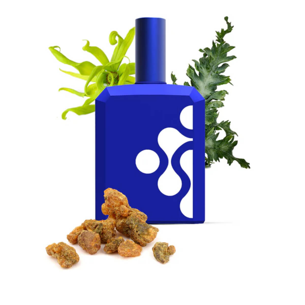 Histoires De Parfum This Is Not A Blue Bottle 1.4 Eau De Parfum 115 ML