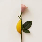 NN ROSA LIMONE Eau De Parfum 50ML