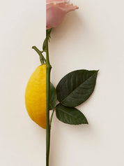 Nn Rosa Limone Eau de Parfum 50ml