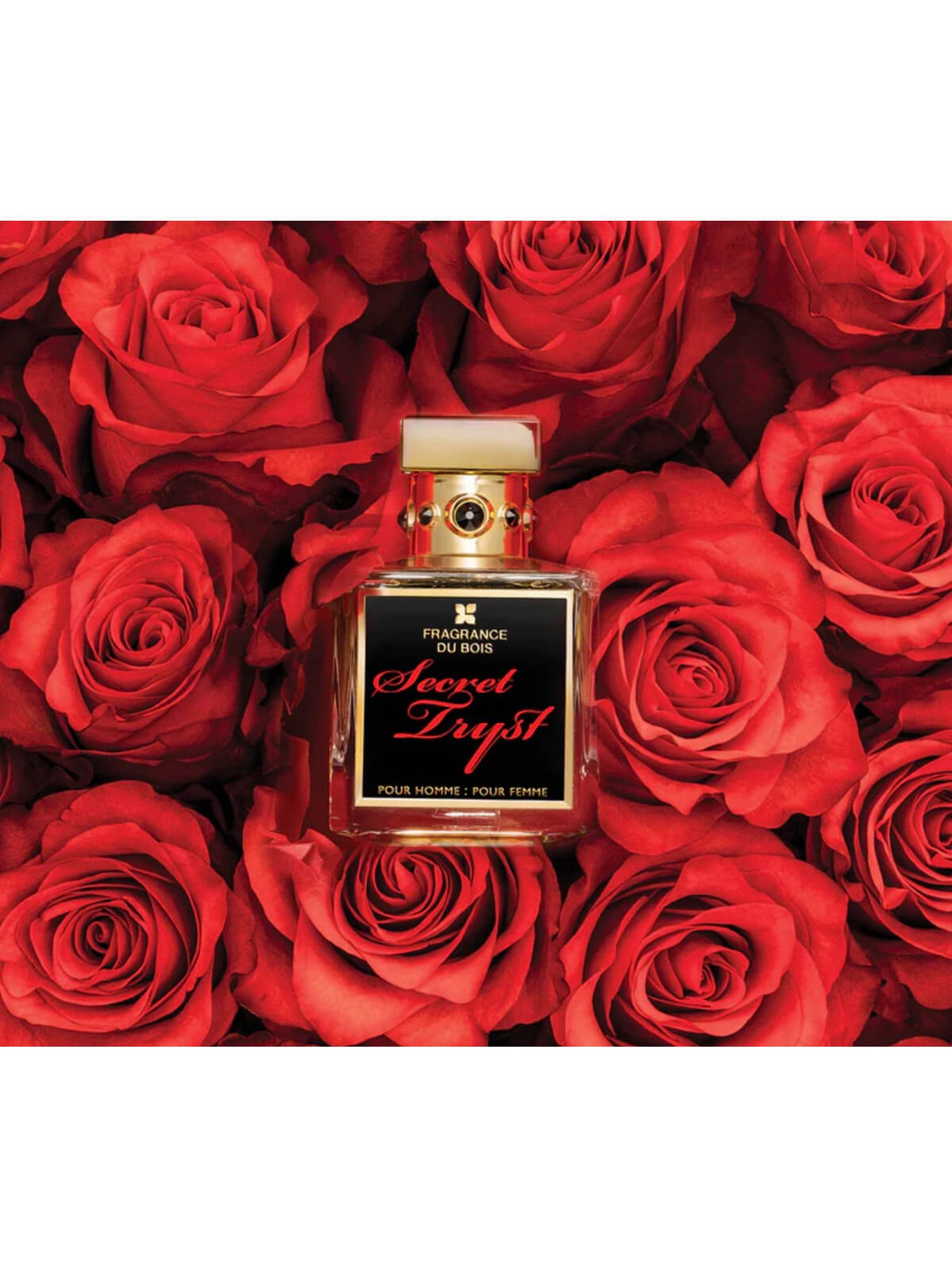 Fragrance du bois secret tryst 100 ml