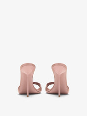 Lidia mule