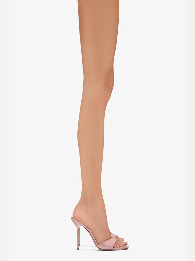 Lidia mule