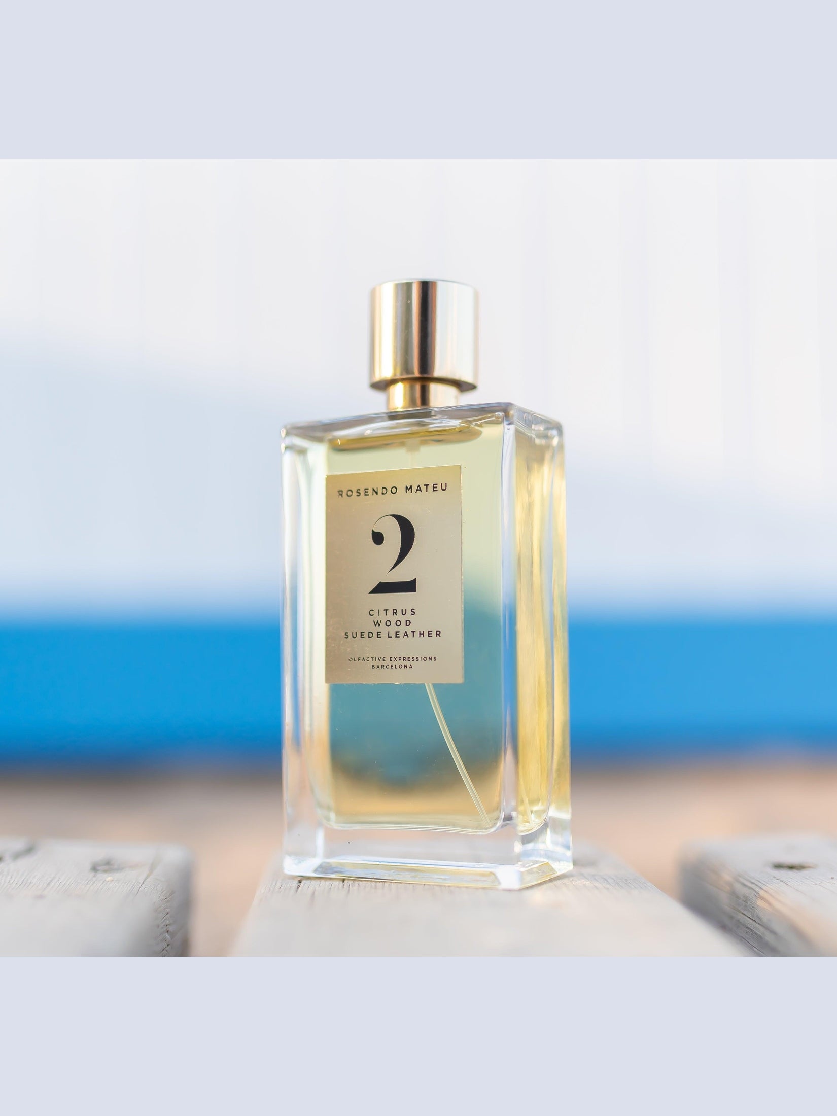 Edp – citrus, wood, suede leather 100 ml