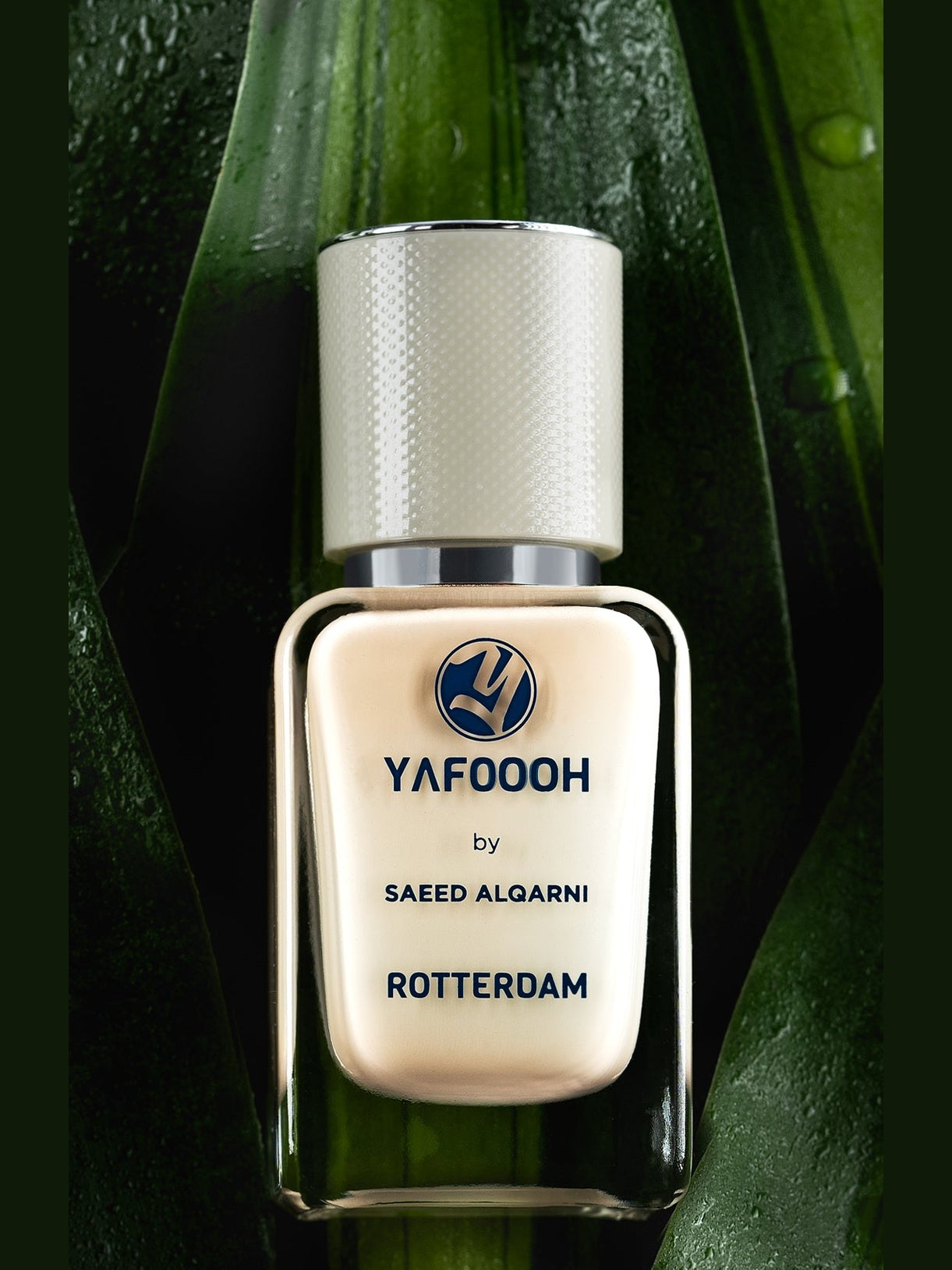 Rotterdam - 50 ml