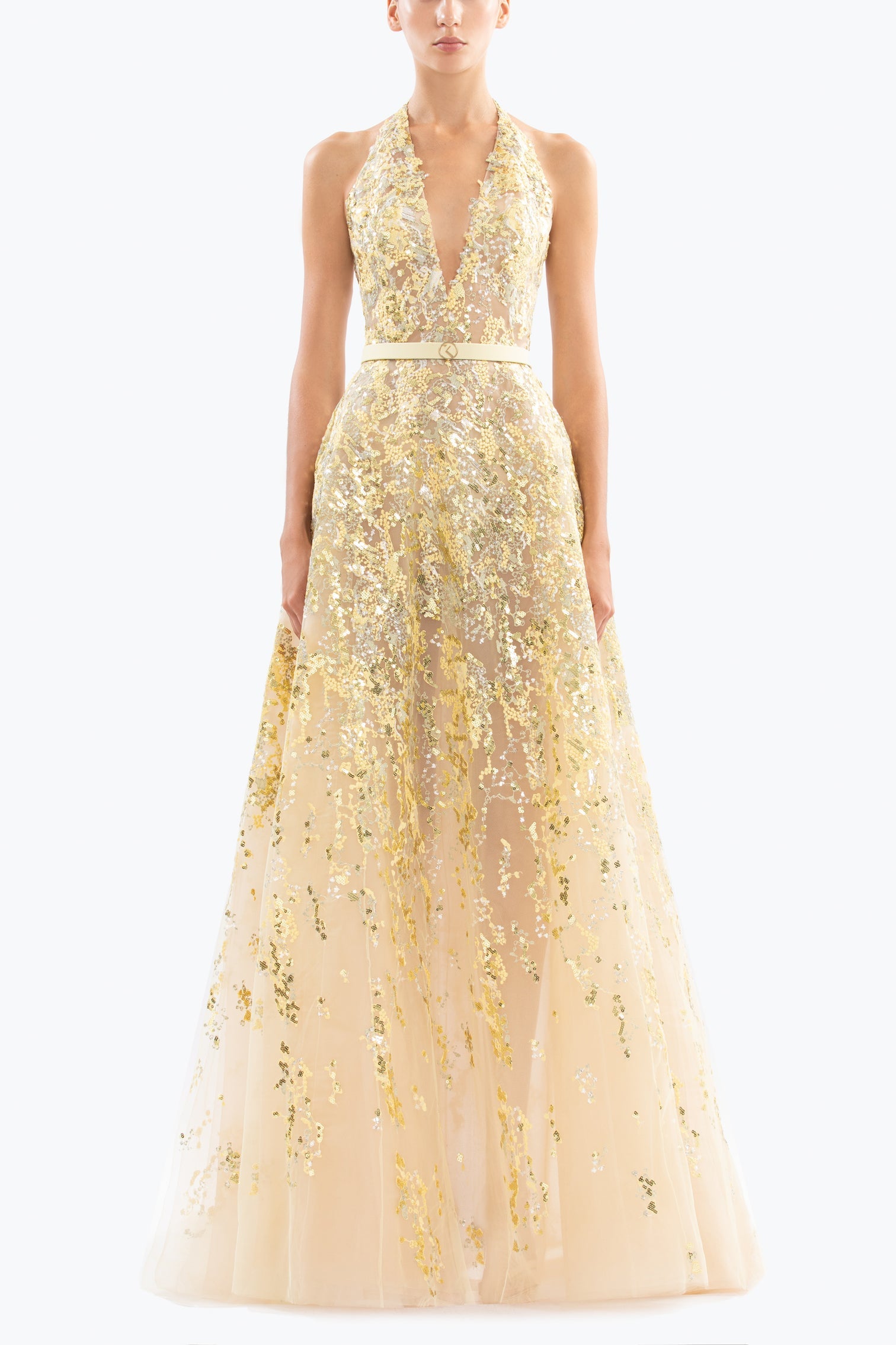 Embroidered long dress