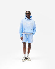 Owners mesh short