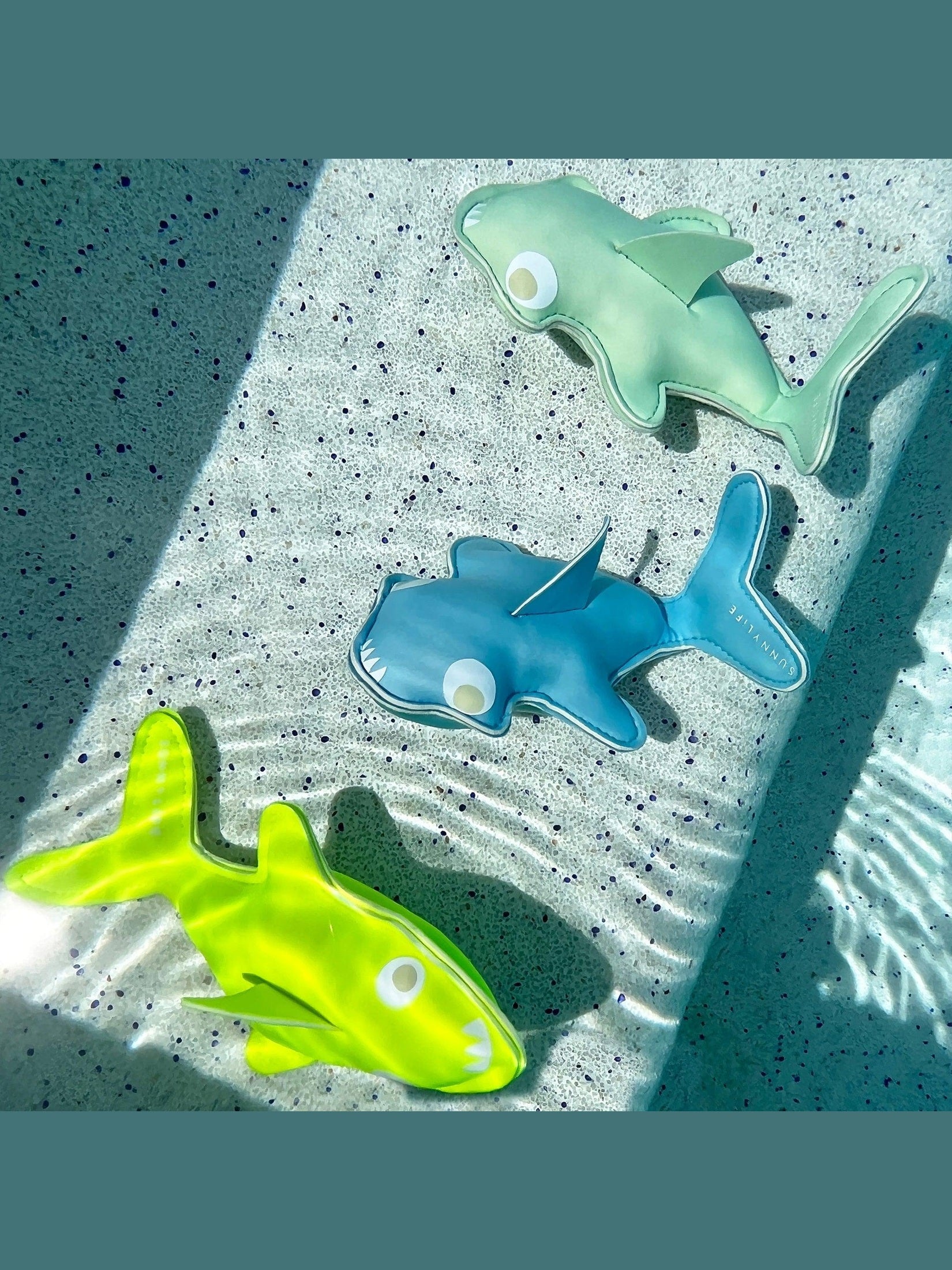 Dive buddies