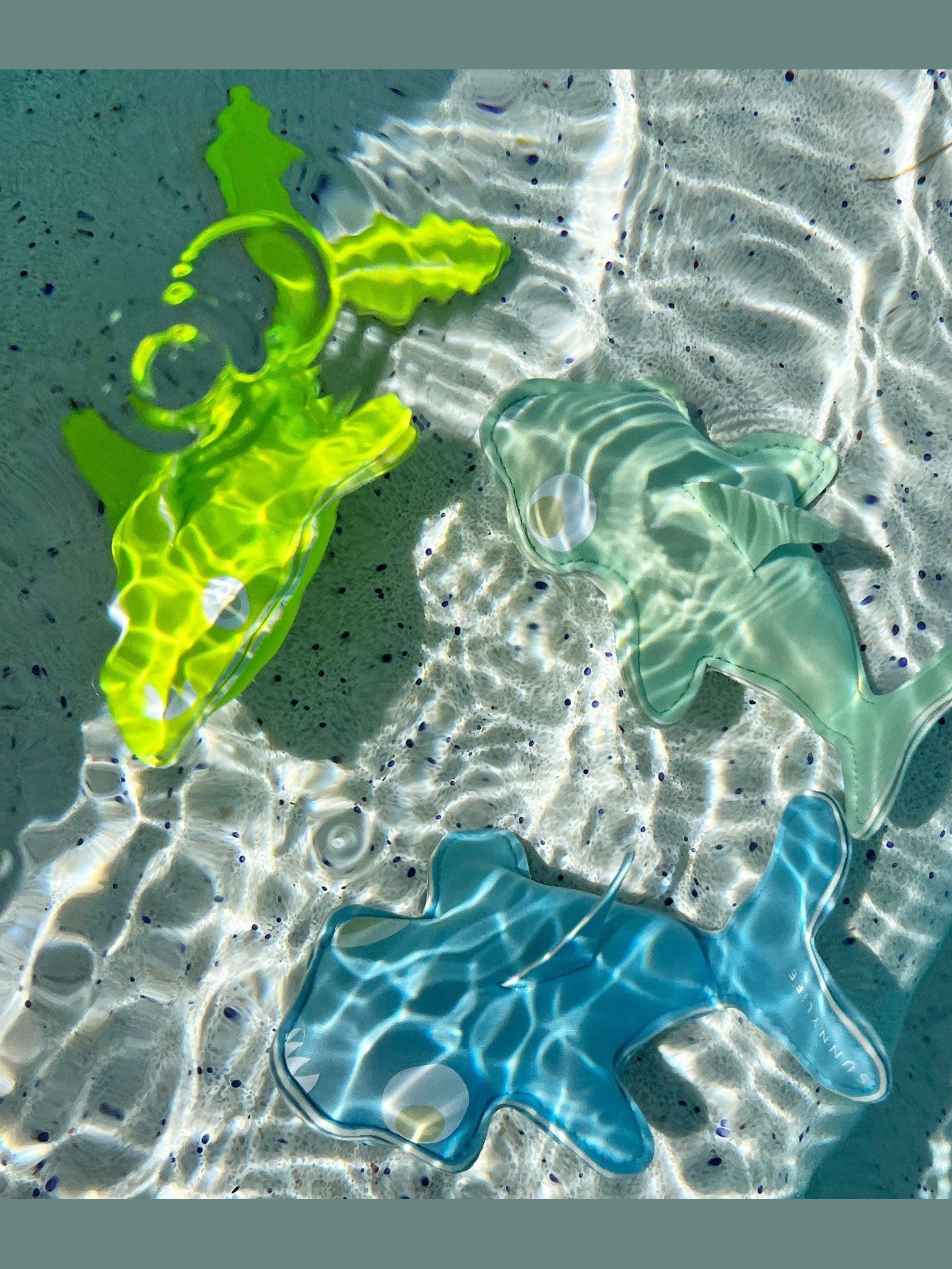 Dive buddies