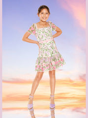 Clara embroidered mini dress