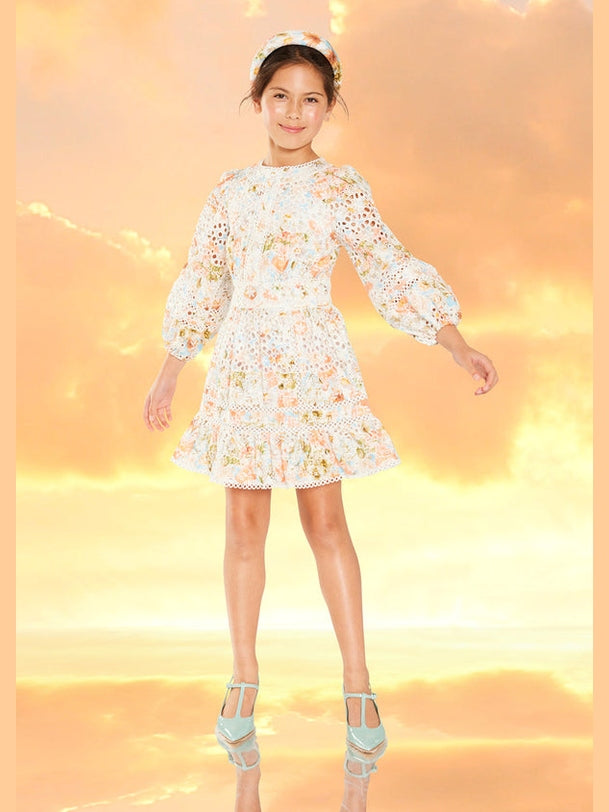 Daphne embroidered long sleeve dress