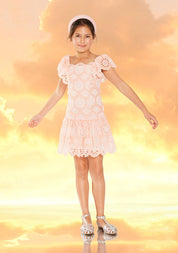 HARLEY EMBROIDERED MINI DRESS