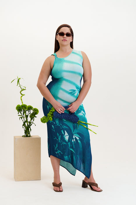 Cedar window print tank dress