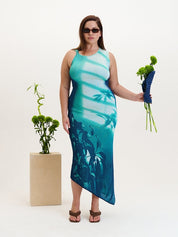 Cedar window print tank dress