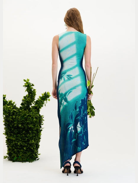 Cedar window print tank dress