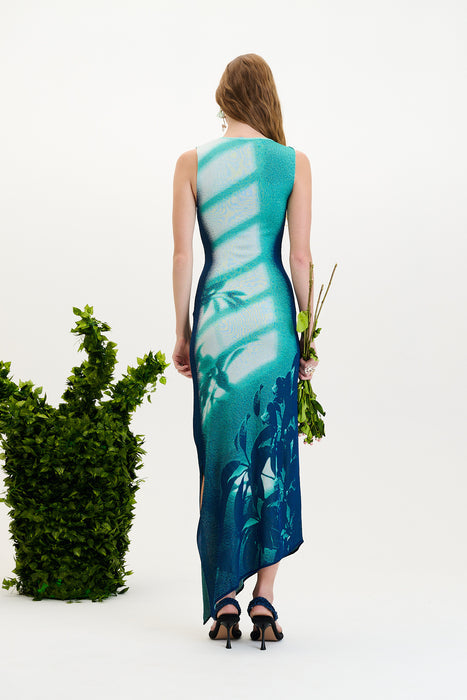 Cedar window print tank dress