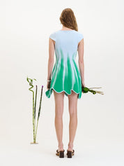 Tina mini a-line dress