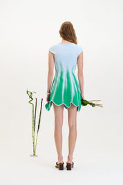 Tina mini a-line dress