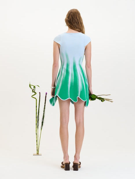 Tina mini a-line dress