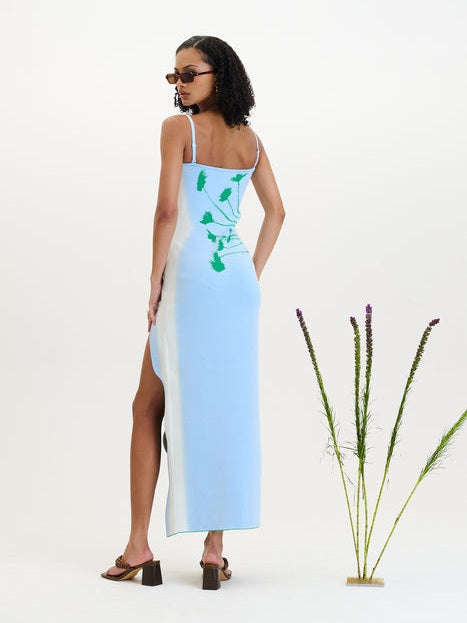 Iris flower print maxi tank dress