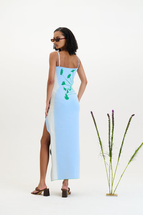 Iris flower print maxi tank dress