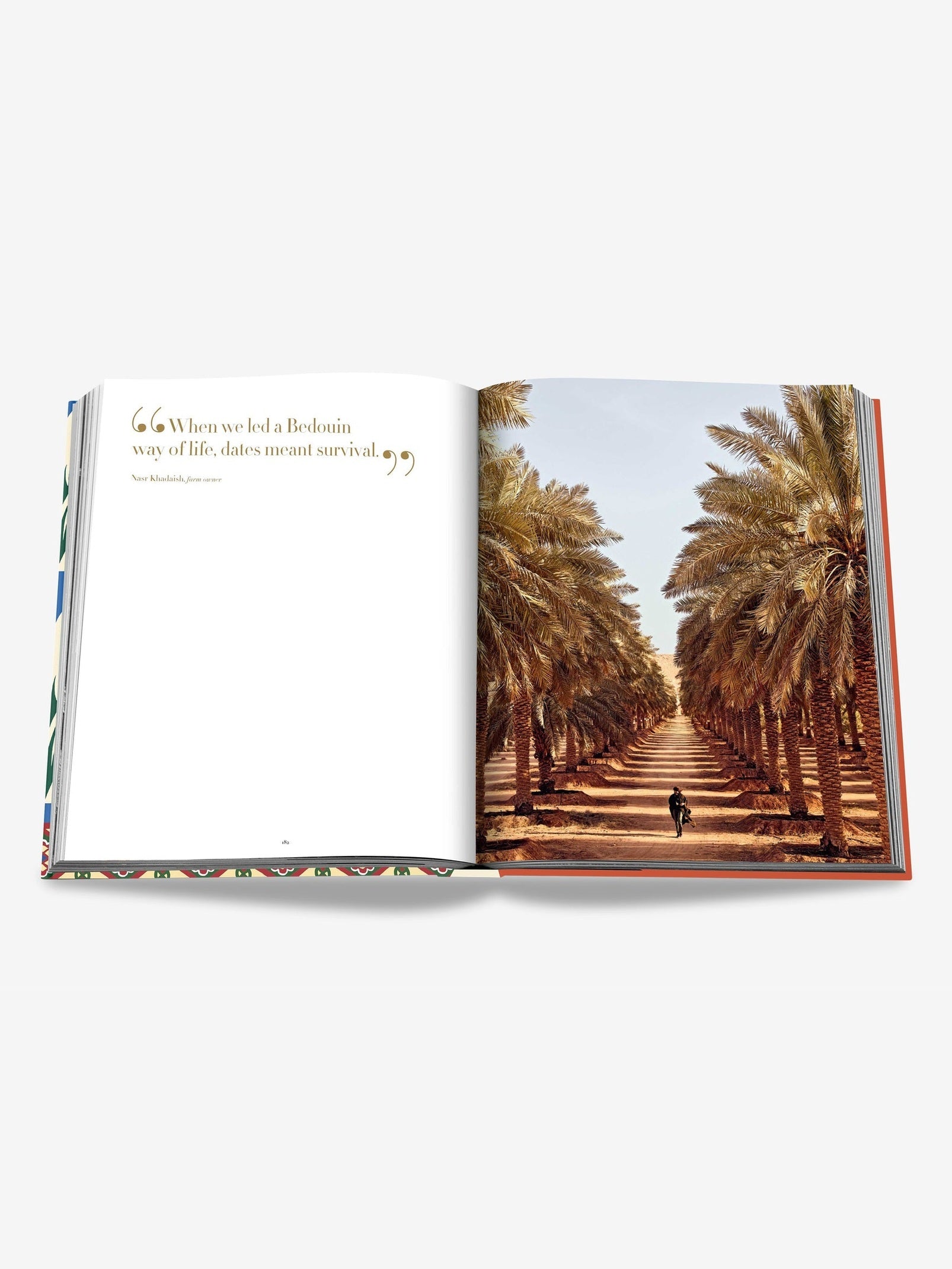 Saudi dates: a portrait of the sacred fruit
