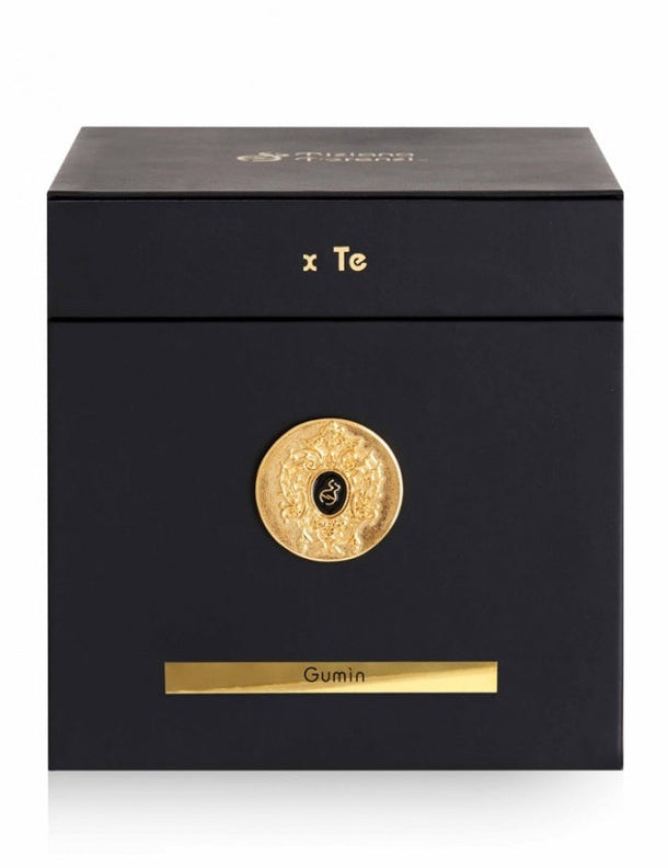 TTPROF_GUM_B-768x813.jpg