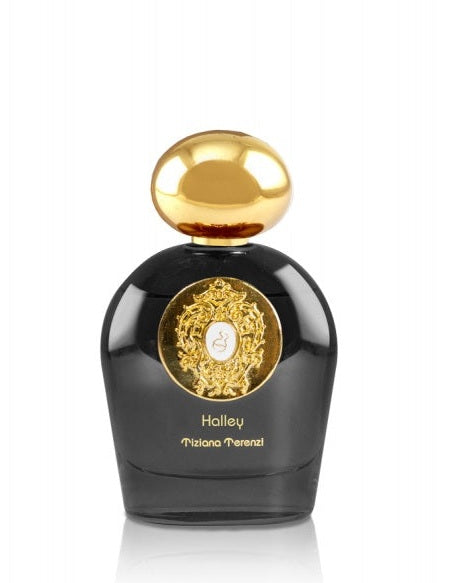 TTPROF_HAL_A-567x600.jpg