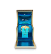 TT EXTRAIT DE PARFUM LINEA TELEA 100ML