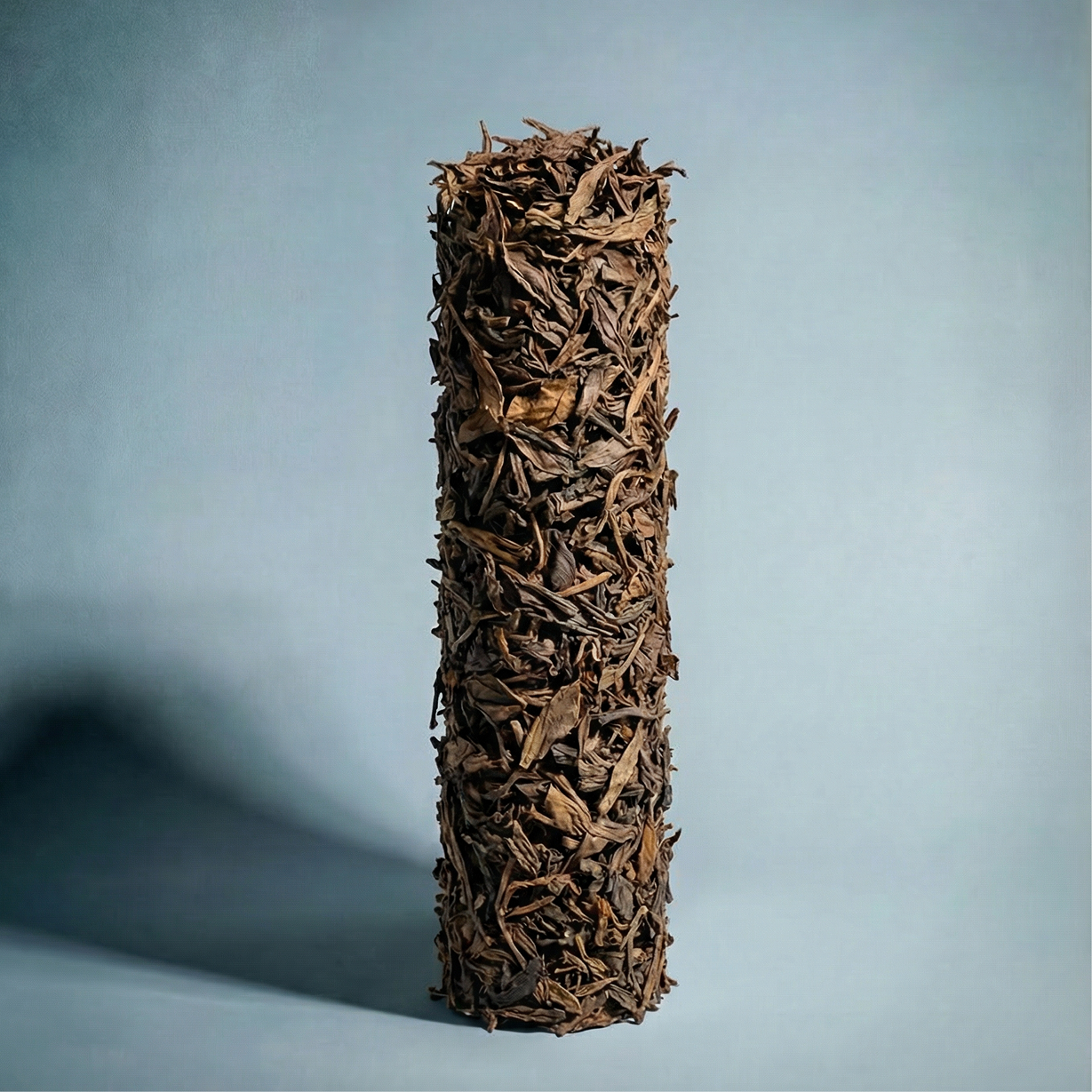 CAMELLIA SINENSIS (Black Tea)