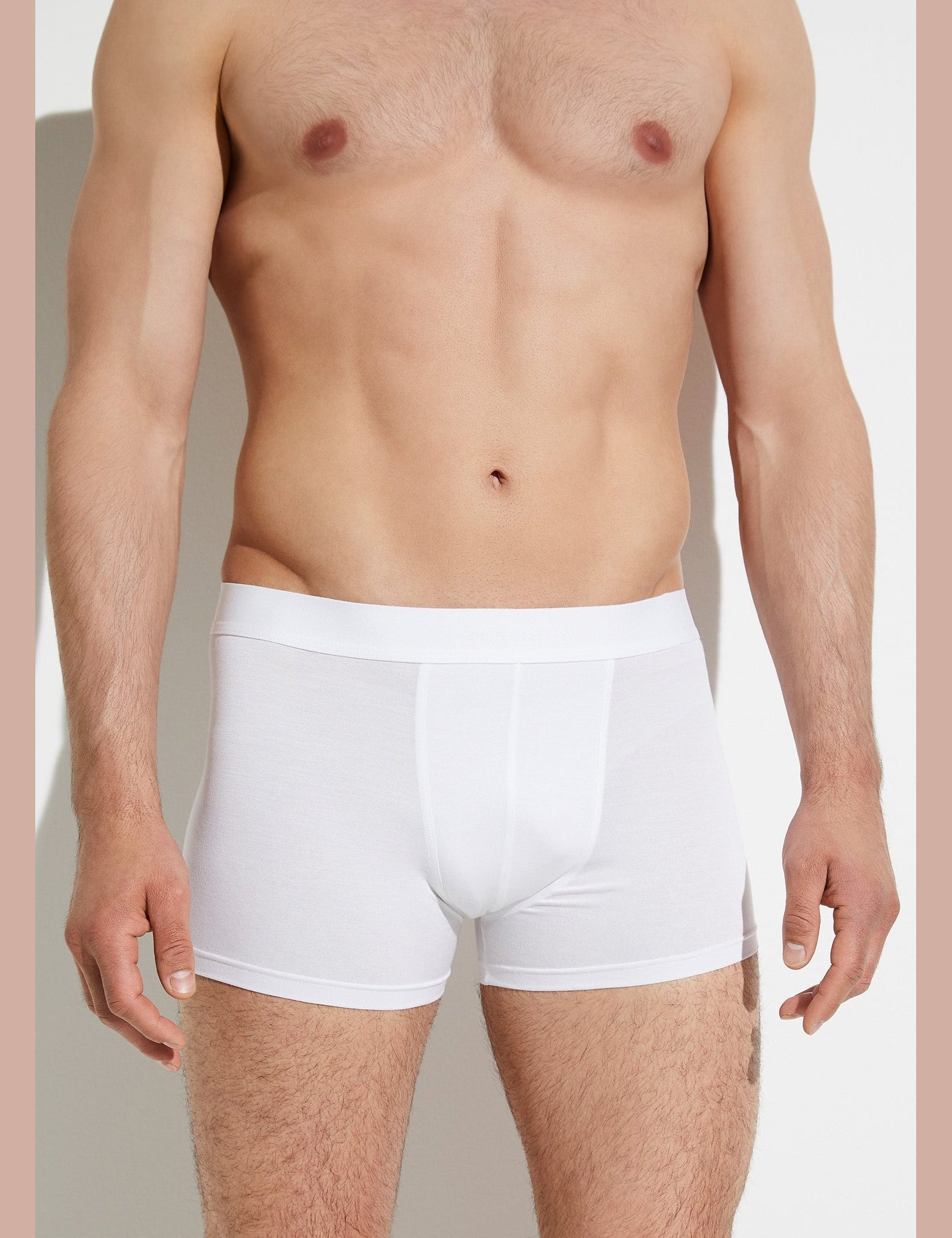 Zimmerli_Essentials_7001343-01_model_front_2048x_d905897c-2e62-47b3-bd3f-1bf316093997.jpg