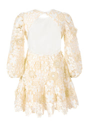 AMARA EMBROIDERED MINI DRESS