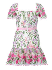 Clara embroidered mini dress