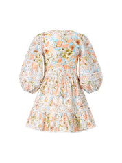 Daphne embroidered long sleeve dress