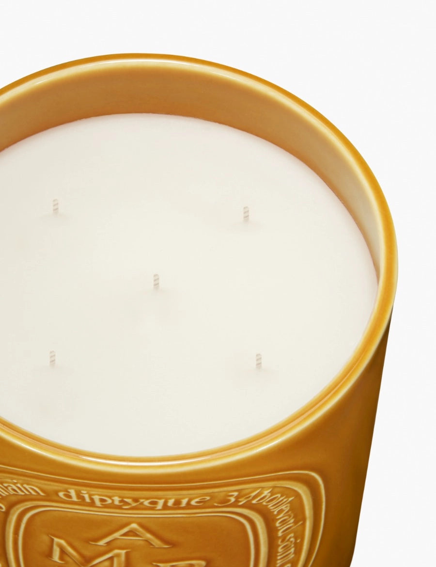 diptyque-ambre-amber-candle-1500g-amb1500-3.webp