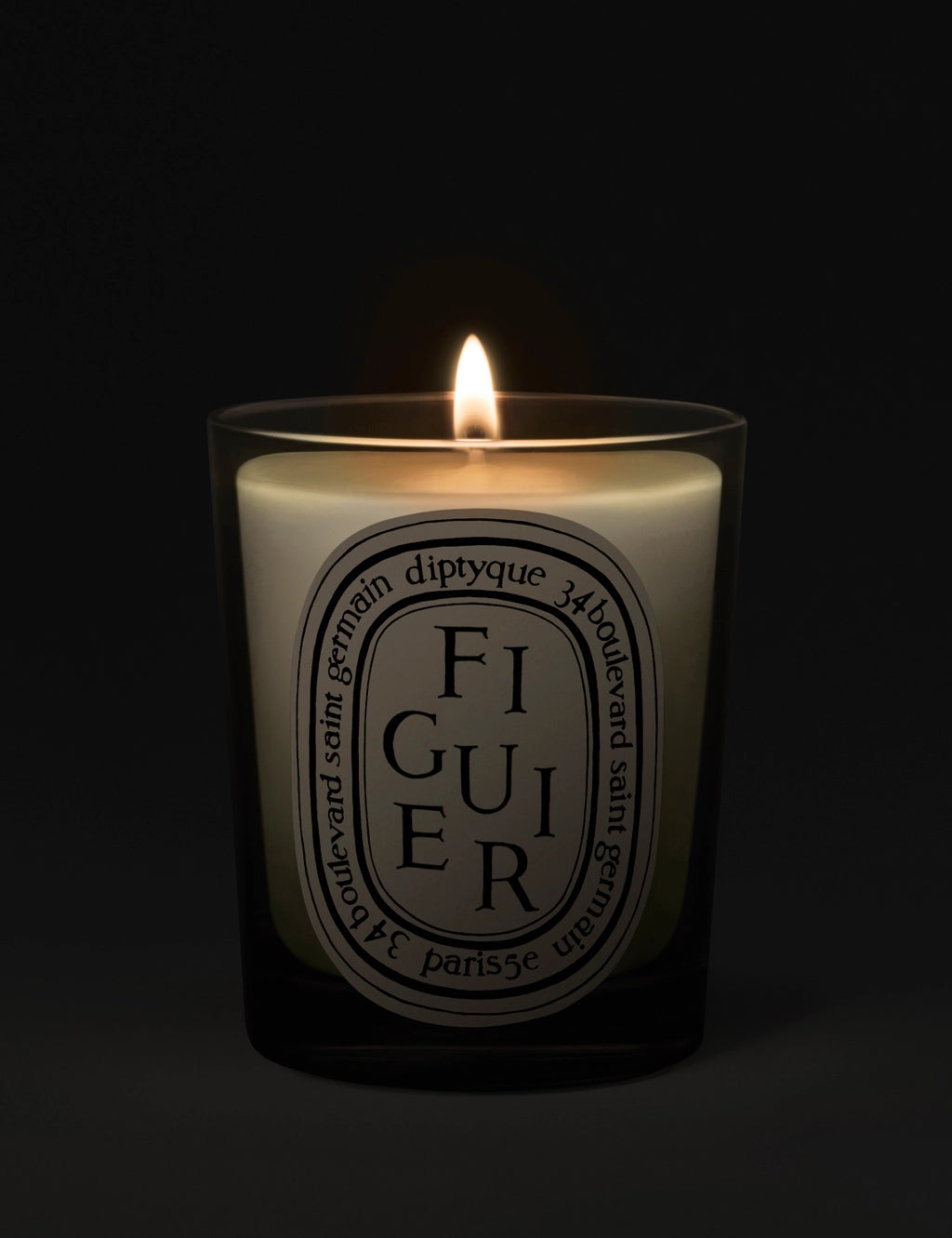 diptyque-figuier-fig-tree-candle-190g-fi1-2.webp